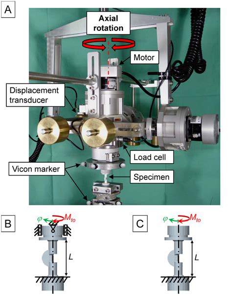 disadvantages of the davis torsional control test|in vitro torsion testing.